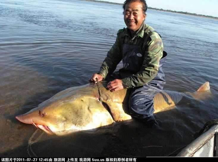 旅游网.jpg