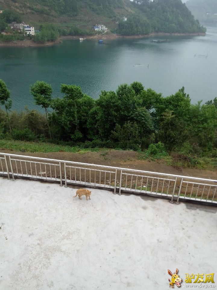 QQ图片20150705103808.jpg
