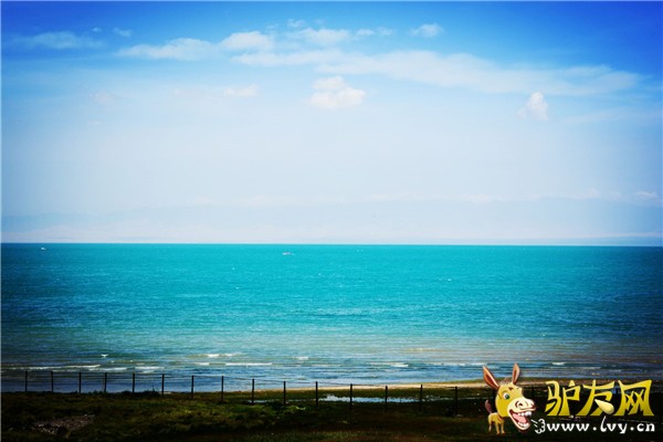 青海湖1.jpg
